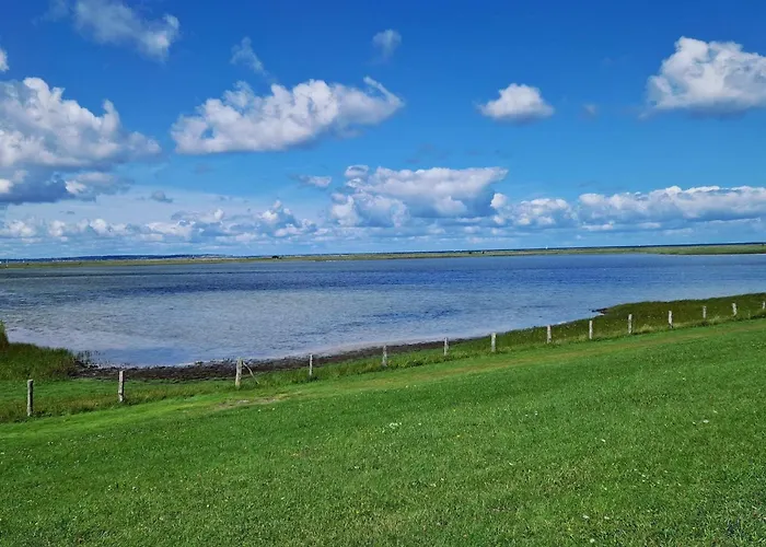 5 Star In Apartamento Wendtorf